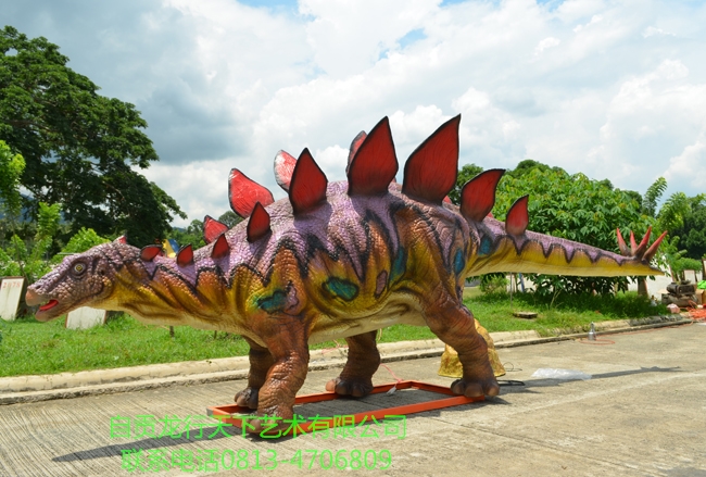 菲律宾剑龙650-3.jpg