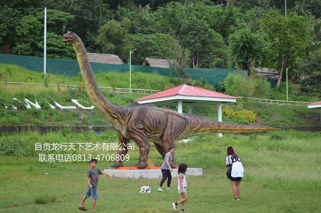 菲律宾650.jpg