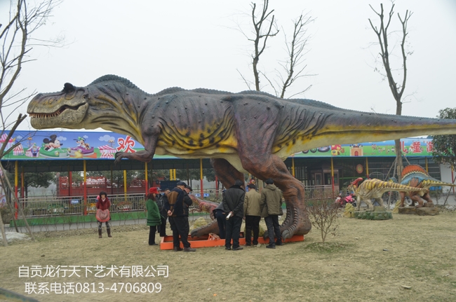 成都郫县游乐园蜀国鹃都-650.jpg
