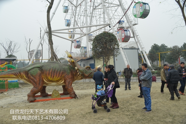 成都郫县游乐园蜀国鹃都-650-3.jpg